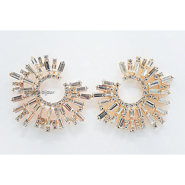 Statement Earrings 2357