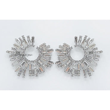 Statement Earrings 2357